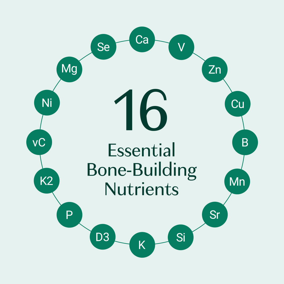 16 essential bone-building nutrients