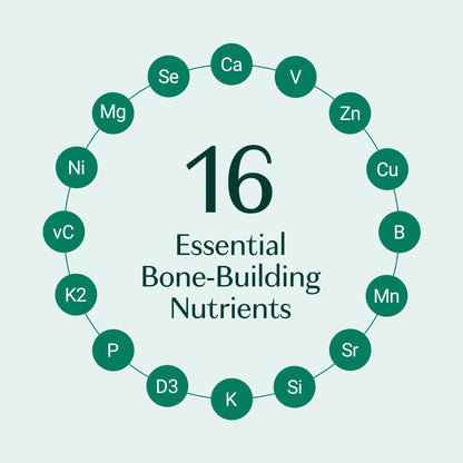 16 essential bone-building nutrients